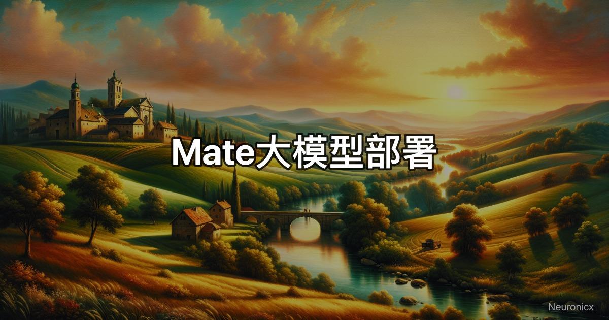 Meta大模型部署