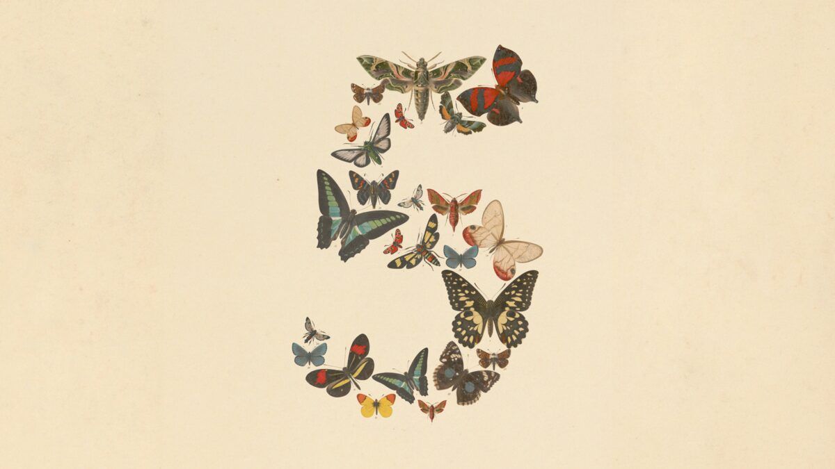 Claude Fable 5 正式發布：Anthropic 史上最強公開模型全解析（跑分、價格、對比 GPT-5.5）