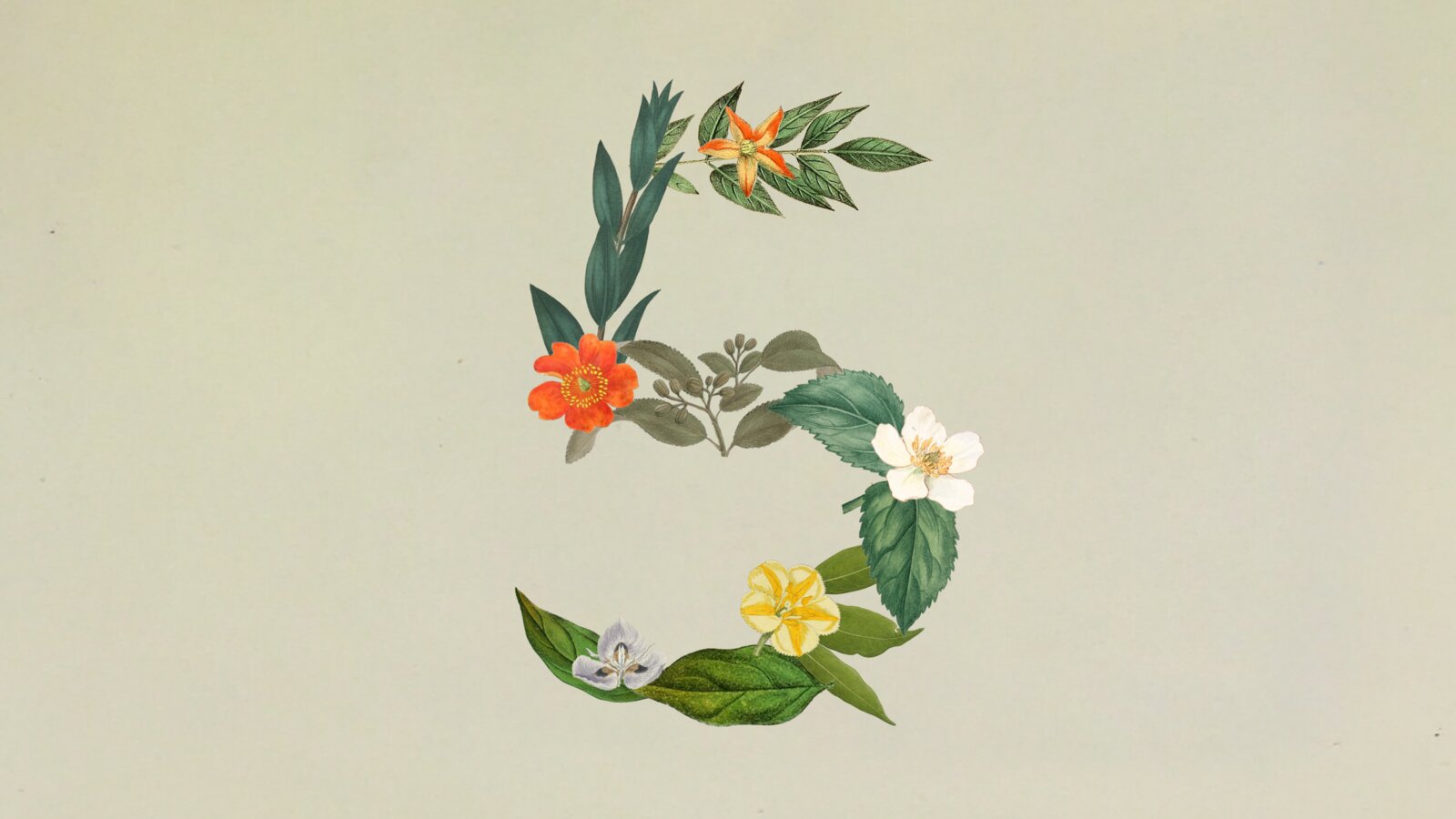 Claude Sonnet 5 正式发布：迄今最强代理 Sonnet，性能逼近 Opus 4.8、价格更低